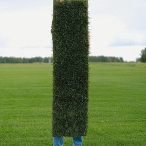 Full body of anonymous farmer with green grass lawn in hands covering body standing on meadow in countryside during work