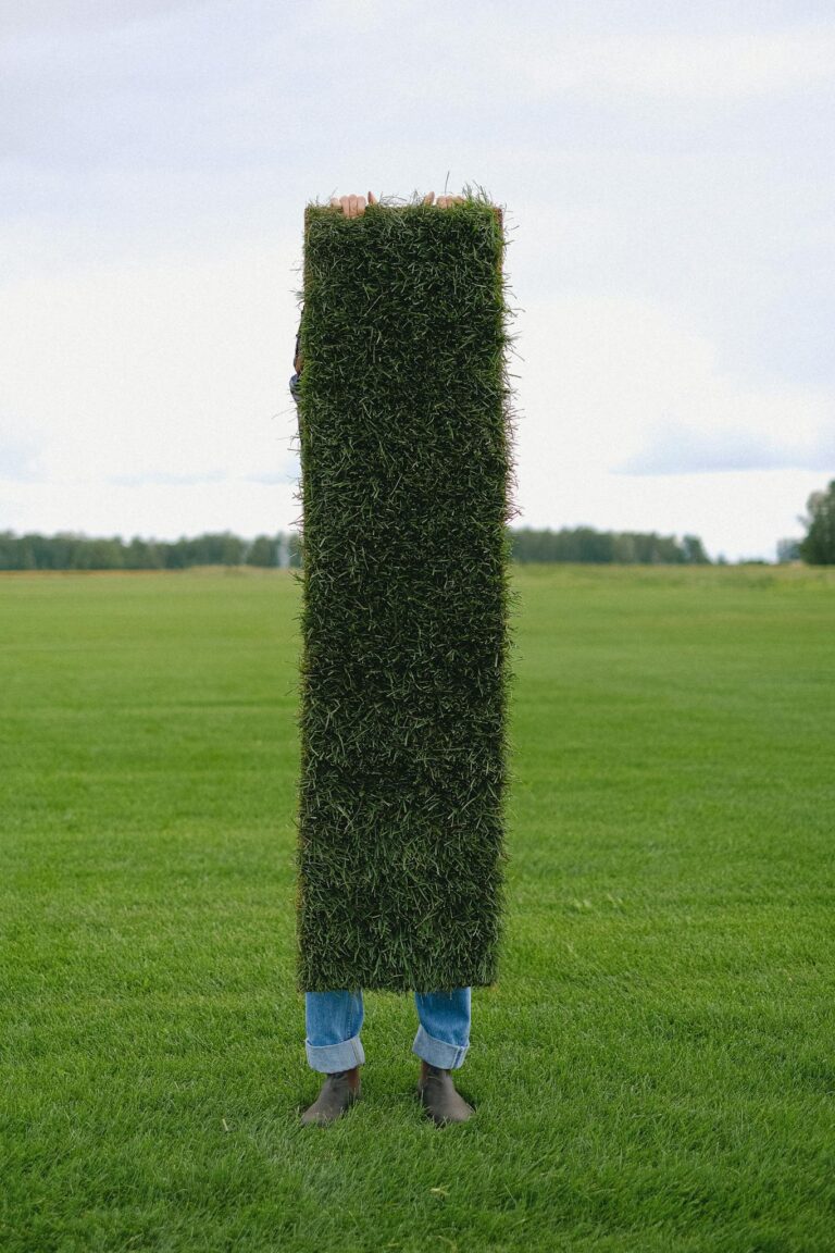 Full body of anonymous farmer with green grass lawn in hands covering body standing on meadow in countryside during work